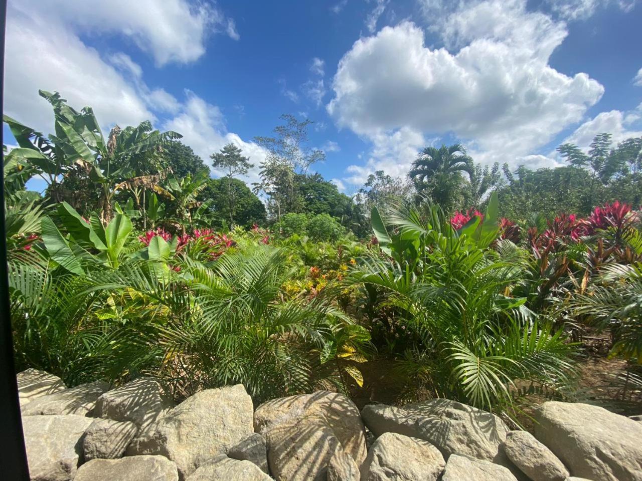 Villa Tanager La Fortuna المظهر الخارجي الصورة
